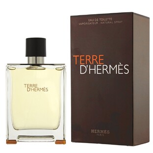 Terre D' Hermes Eau Intense Vetiver Eau de Toilette 100ML