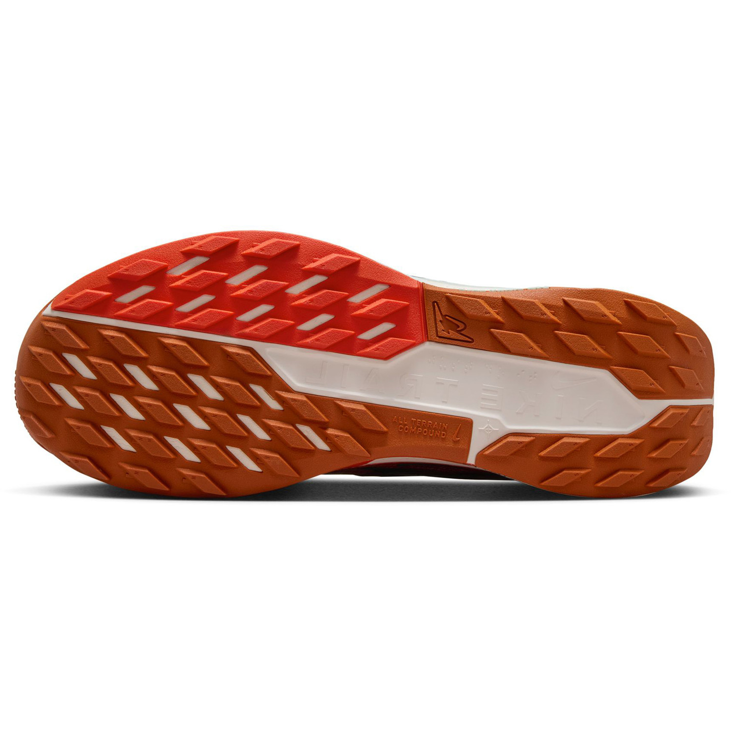 Nike Pegasus Trail 5 Heren