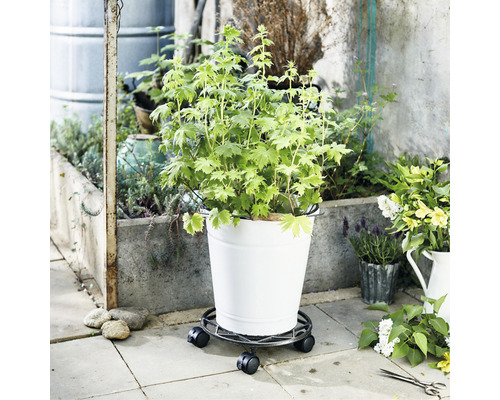Wagner Antieke Plantenwagen Ø 29 cm TK 50 kg