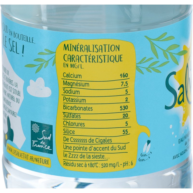 Eau gazeuse Salvetat 50 cl - 24 bouteilles
