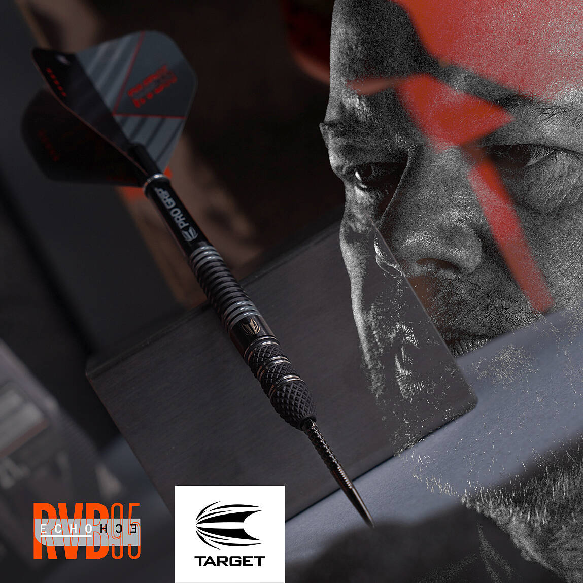 Target - Swiss Point - Raymond van Barneveld 95% x Echo - Steeldart