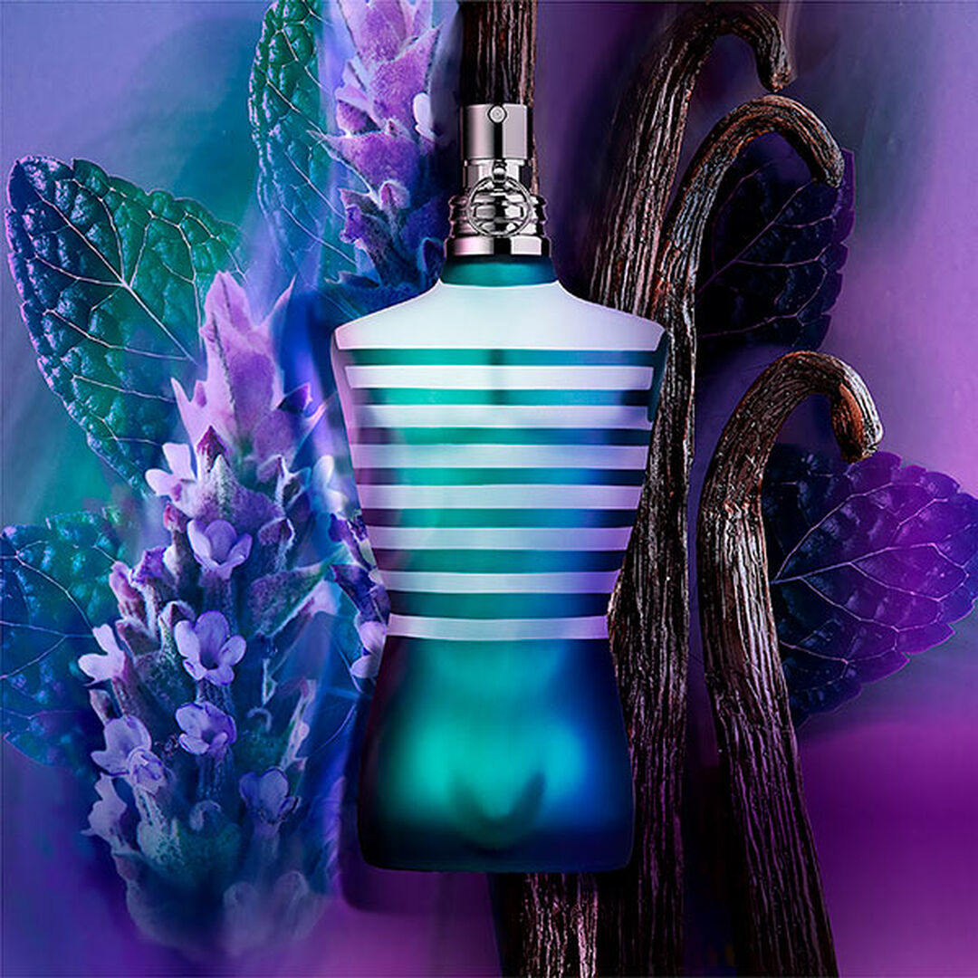 LE MALE Eau de Toilette - 200ml