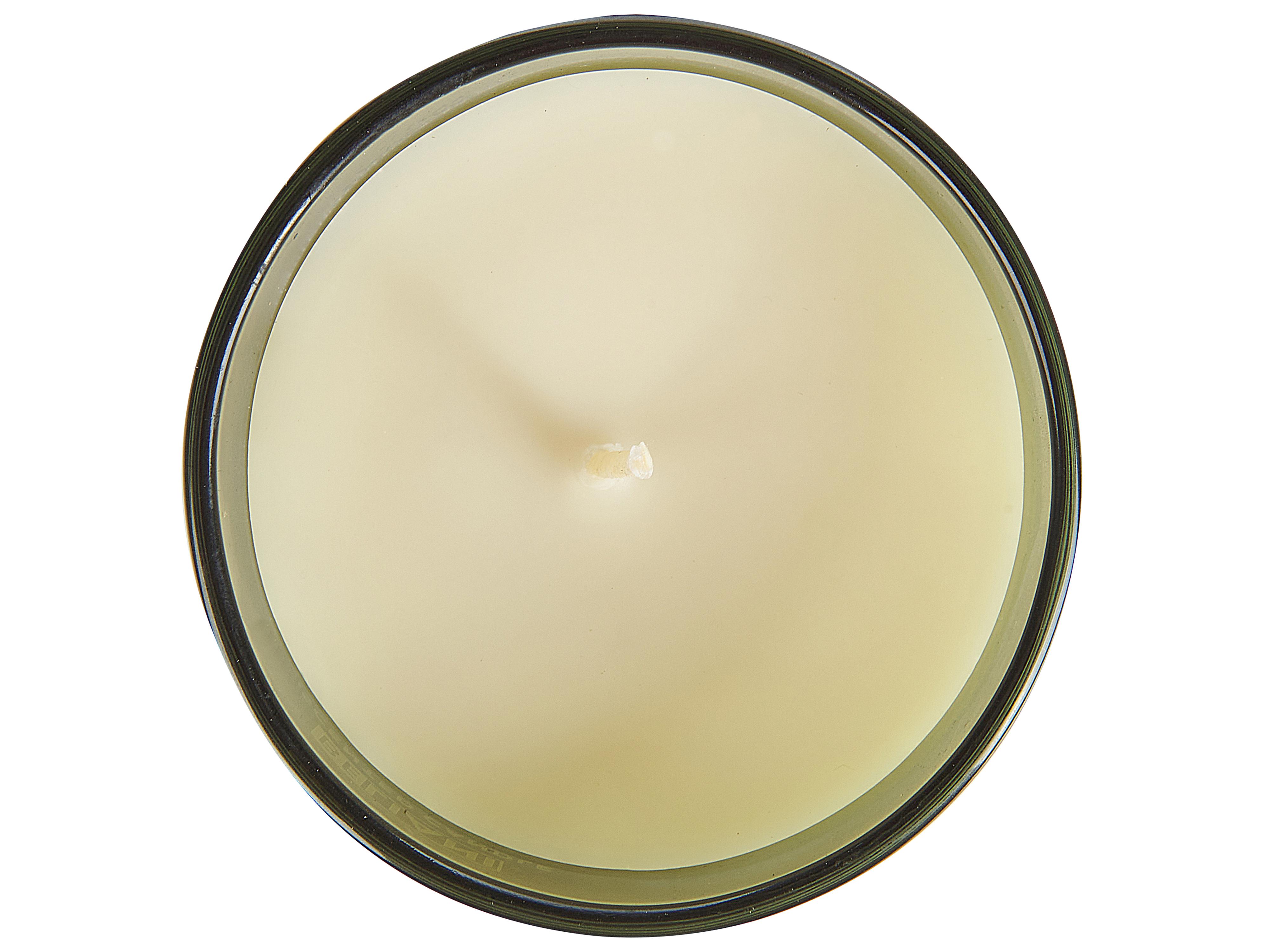 Set van 3 geurkaarsen SHEER JOY Soja wax Fruitige geurnoten Frisse geurnoten