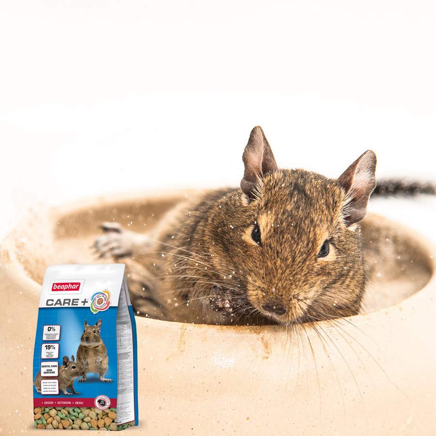 Beaphar Care+ Alimentos para Degu