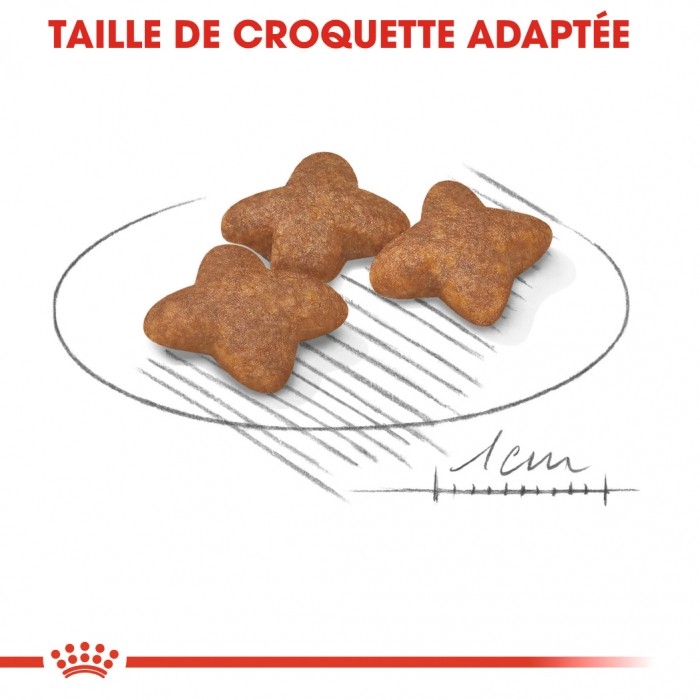 Royal Canin Mini Adult - Croquettes pour chien