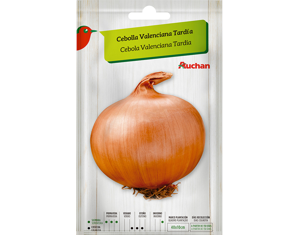 SEMENTE AUCHAN CEBOLA VALENCIANA