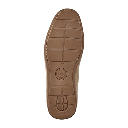 algoras  Vel. 9837  TAUPE
