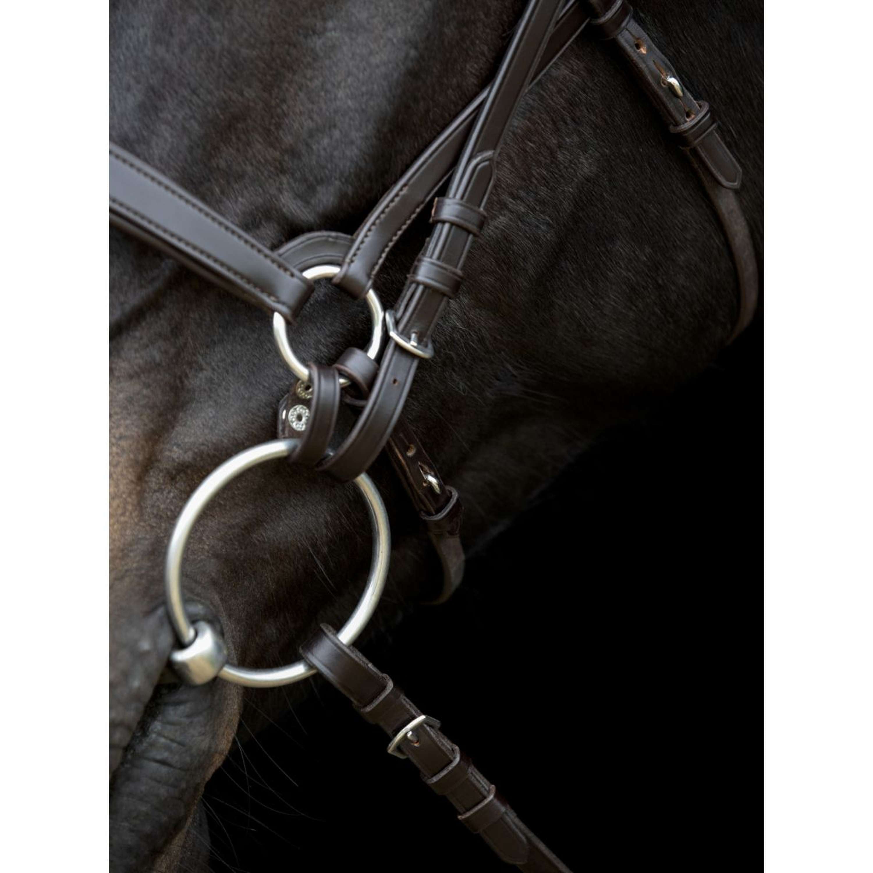 Catago Kinriem Gentle Bruin