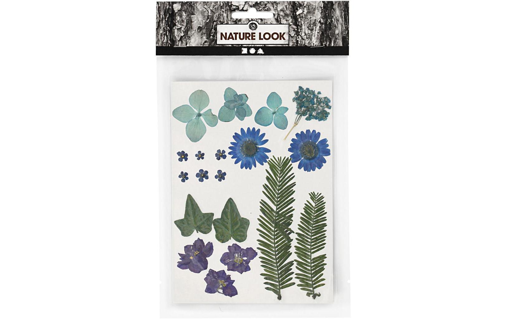 Streudeko Gepresste Blüten und Blätter, Blau, 19 sort.Blumen zum Streuen