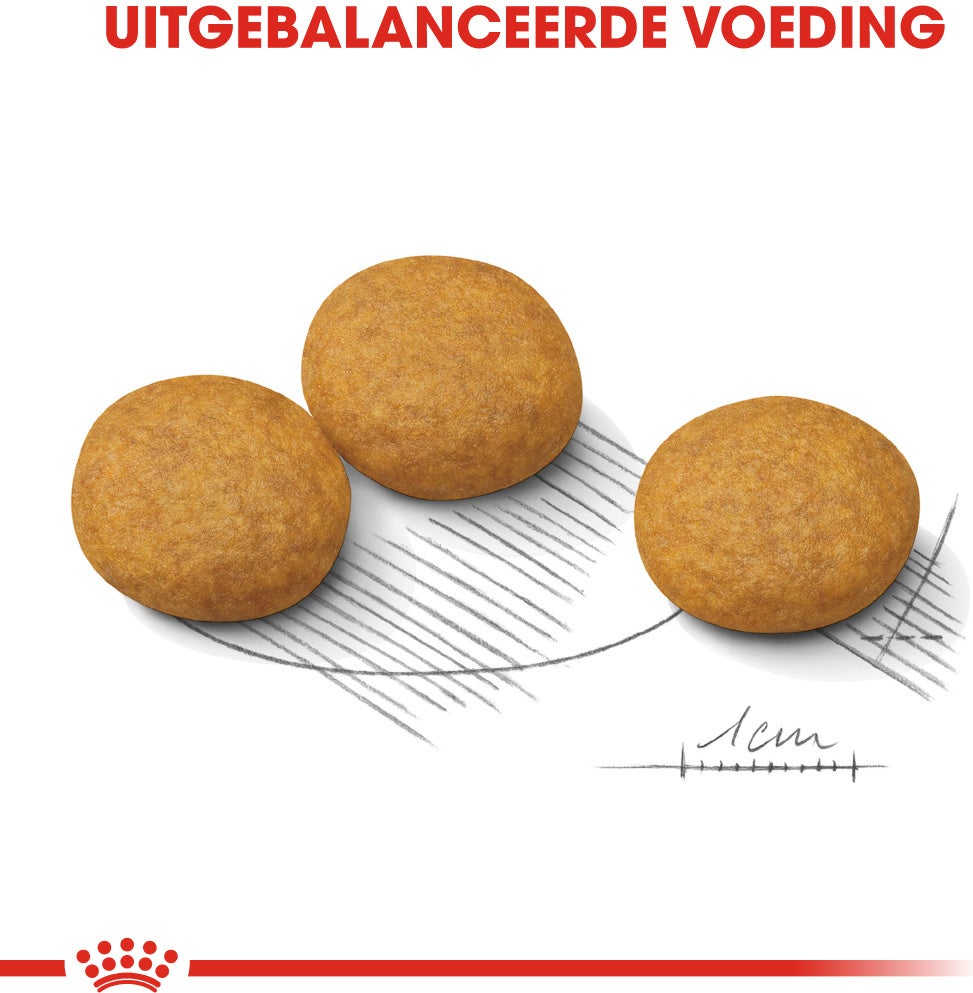 Royal Canin hondenvoer Dermacomfort Medium 3 kg