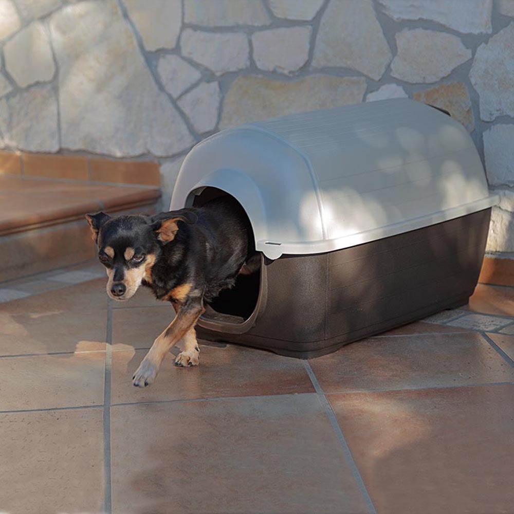 Ferplast niche d'extérieur pour chiens kenny mini, habitat pour chiens en résine thermo-plastique, résistant aux chocs et rayons