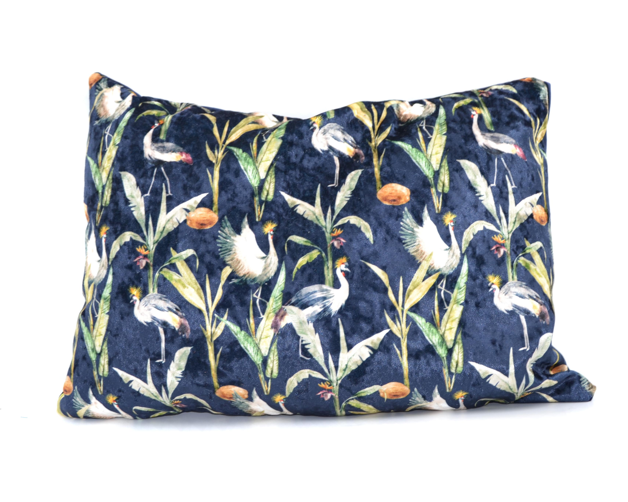 Kussen velvet kraanvogel blauw 50 x 30