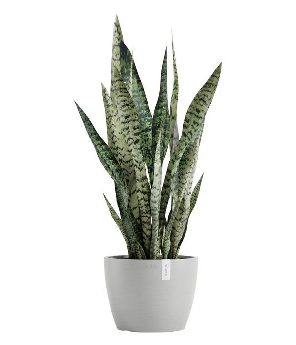 Ecopots Kunststoff-Topf Stockholm, rund