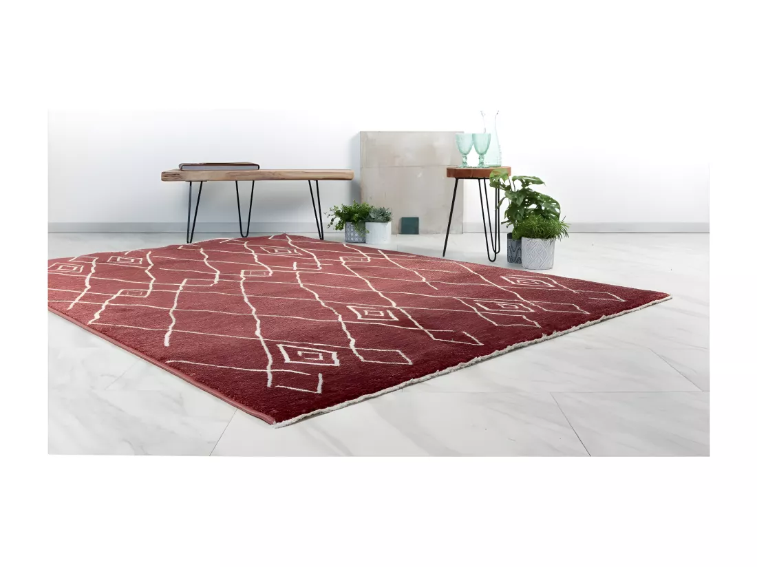 Tapis 150x80cm, design A205R coloris terracotta - Confort et élégance pour votre intérieur