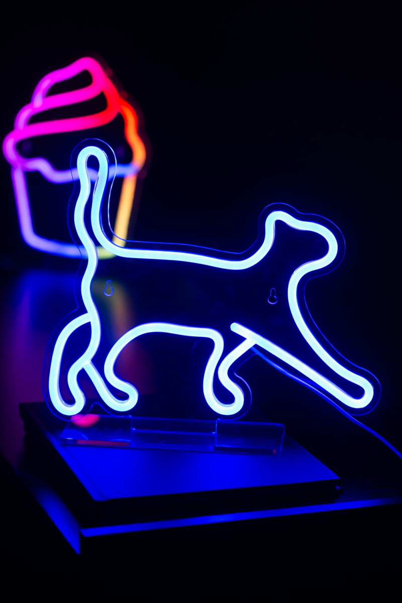 Neon Light Walking Cat