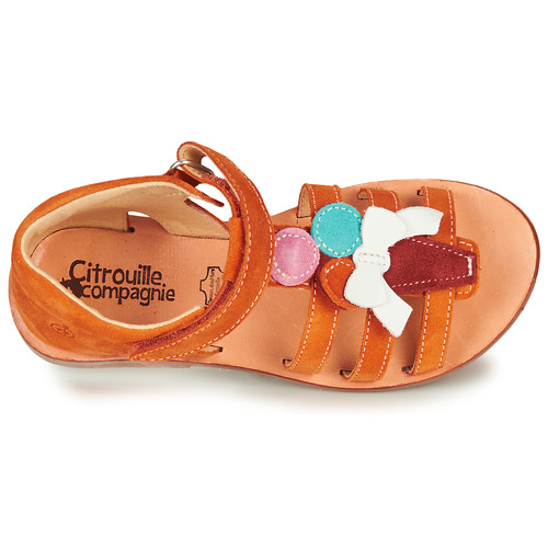 Citrouille et Compagnie - MIETTE - Orange