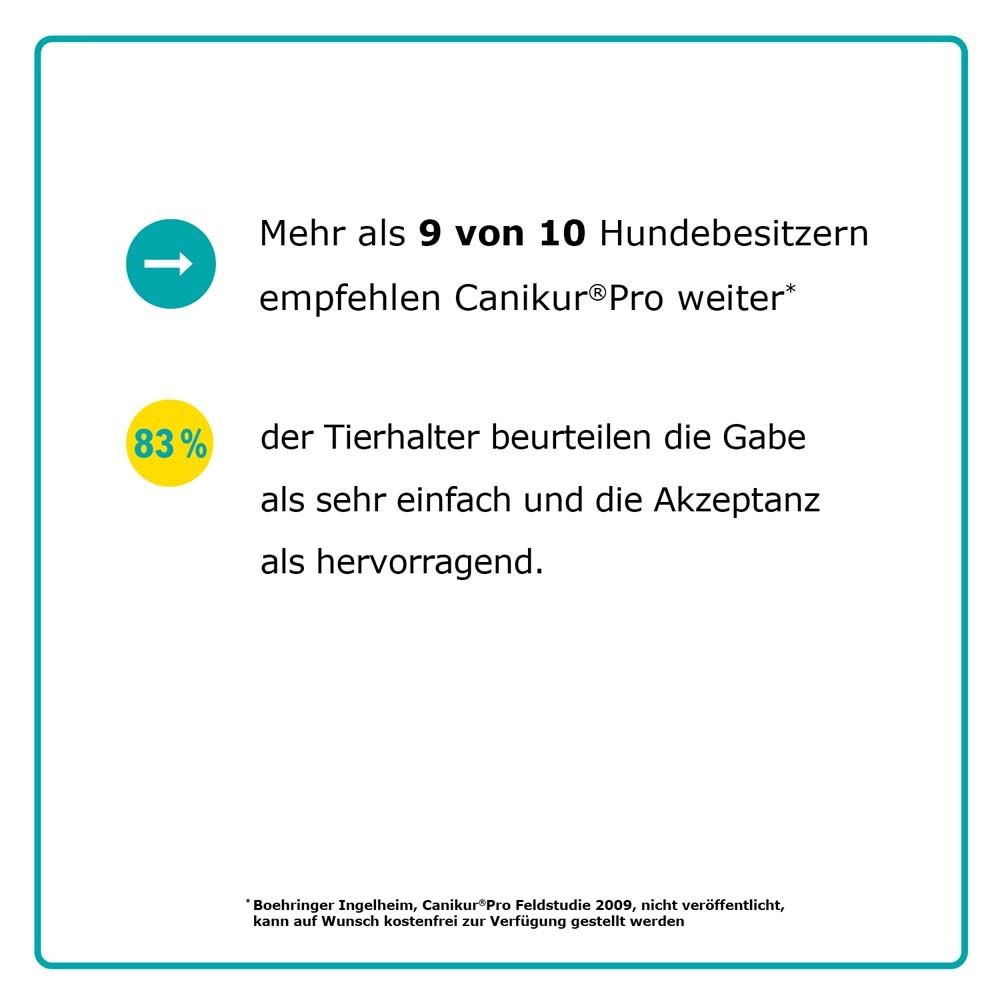 Canikur®Pro – zur Unterstützung der natürlichen Darmflora – Diät-Ergänzungsfuttermittel für Hunde und Katzen