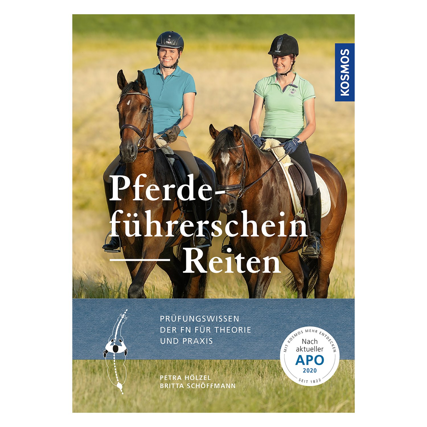 Pferdeführerschein Reiten