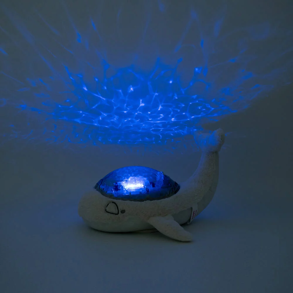 TRANQUIL WHALE™ - WHITE FAMILY