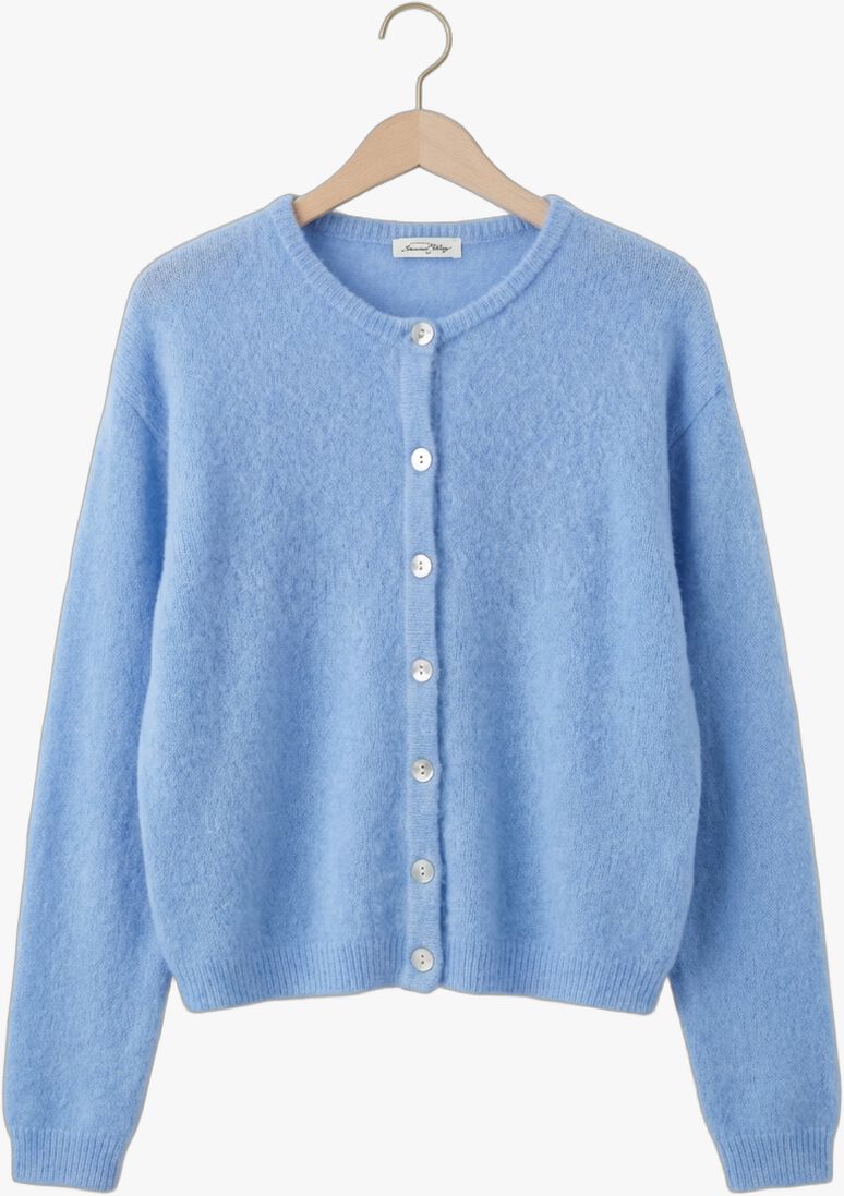 blauwe american vintage trui vitow