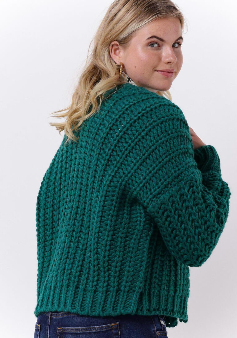 POM AMSTERDAM groene pom amsterdam vest cardigan 6962
