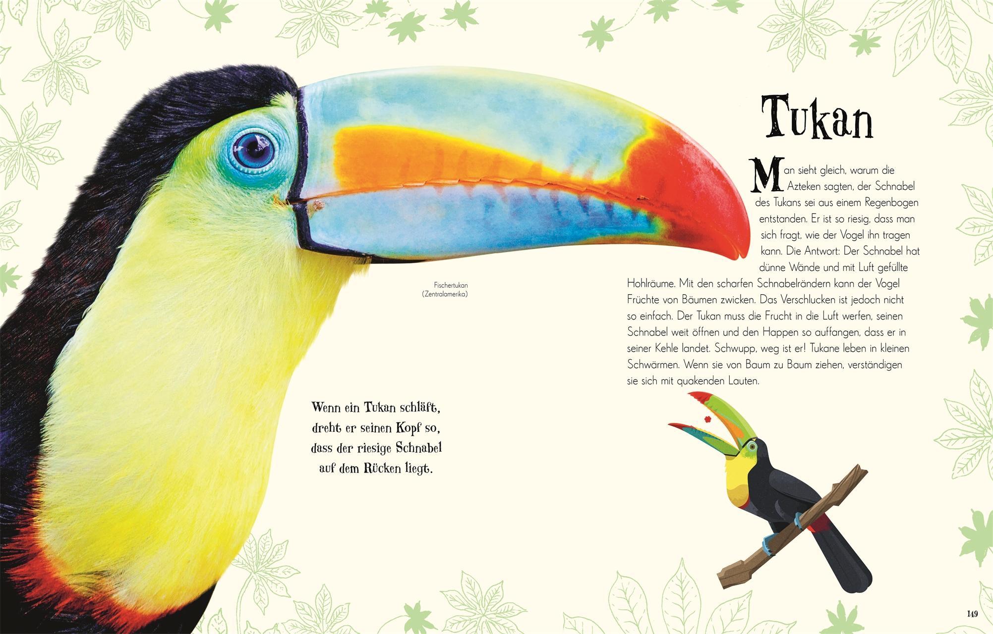 Wundervolle Welt der Tiere / Wundervolle Welt Bd.1