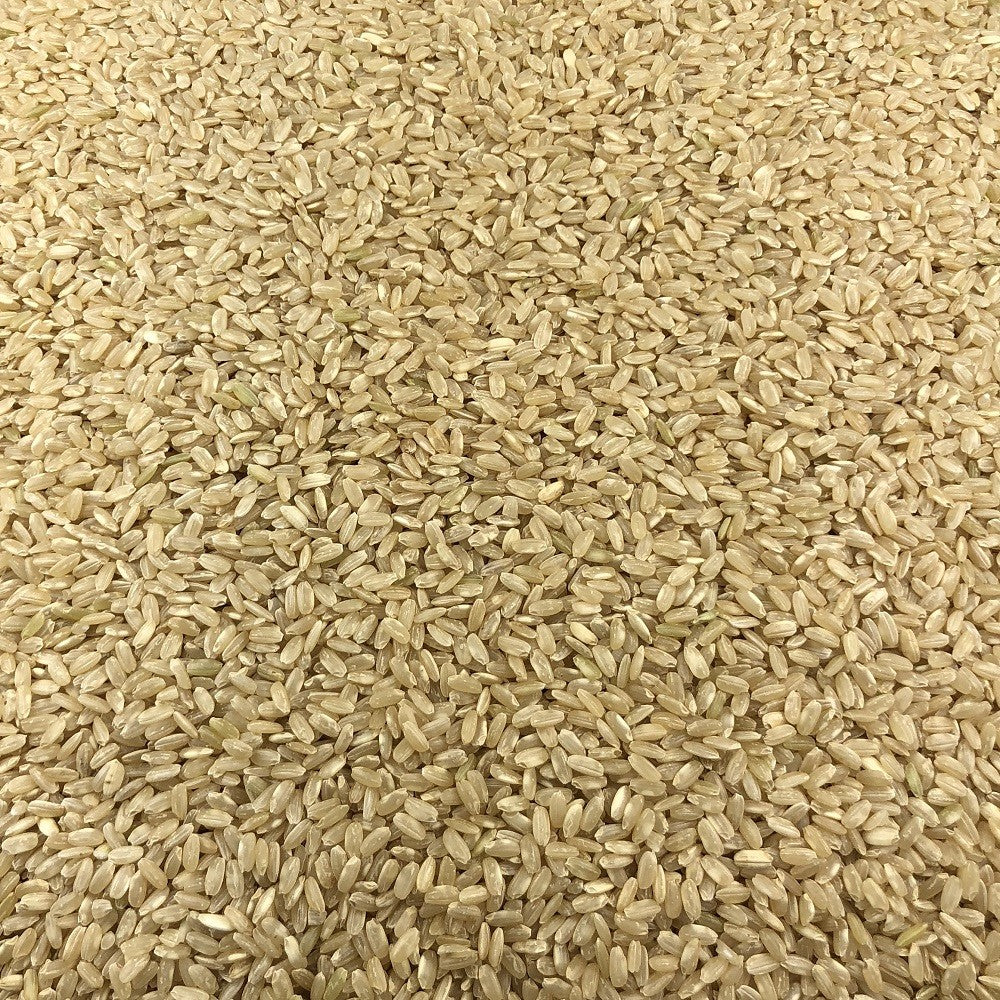 Riz Rond Complet Bio en Vrac 25kg Vrac Bio