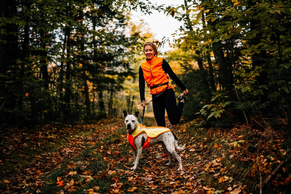 Veste haute visibilité et resistante aux intempéries lumenglow™ avec passage de laisse. Couleur: blaze orange (orange), taille: l