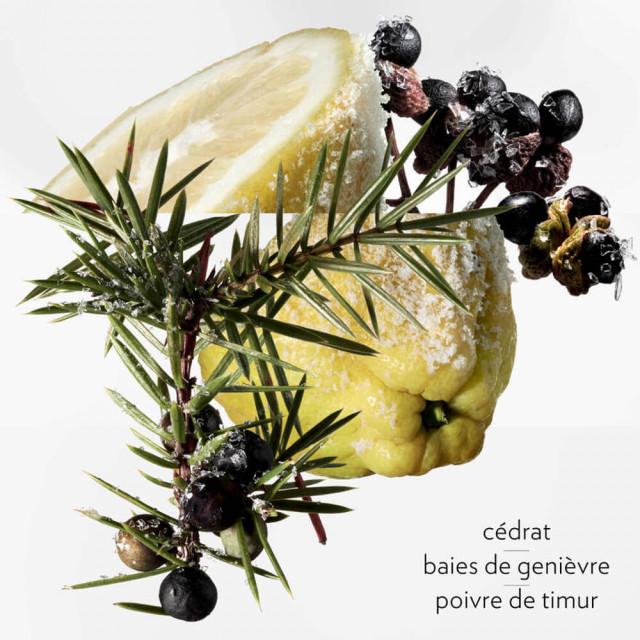 Terre d'Hermès Eau Givrée Eau de Parfum HERMÈS