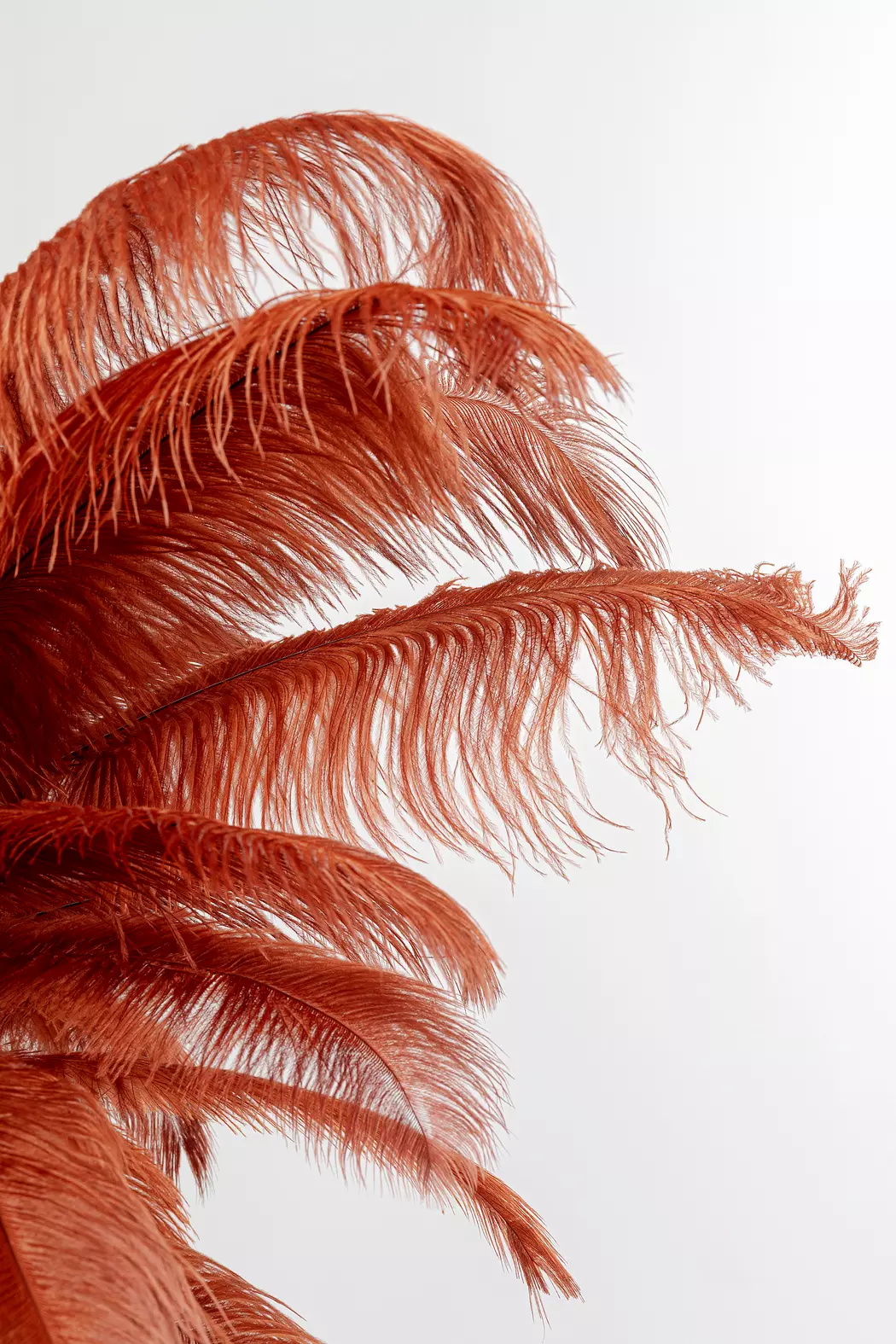 Stehlampe Feather Palm