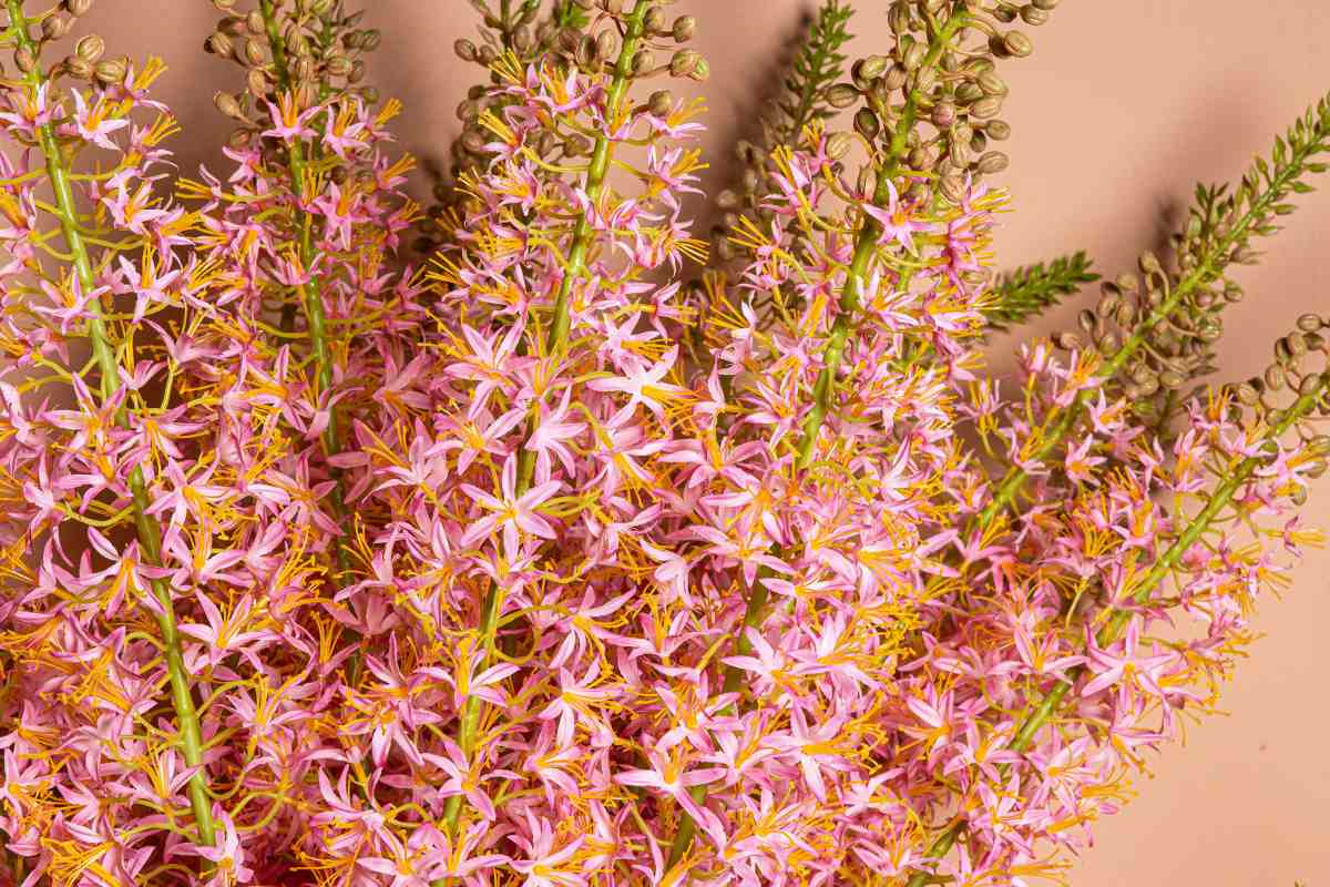 Ptmd branche artificielles eremurus - 119x12x117 cm - plastique - rose
