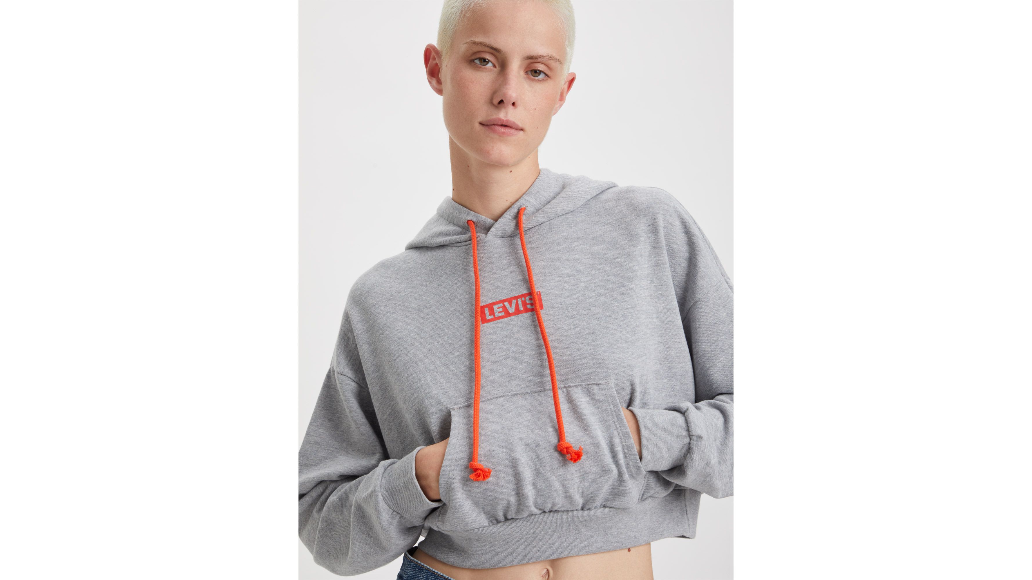 Sweat à capuche graphique Laundry Day - Starstruck Heather Grey Burnt Orange Lining - Gris