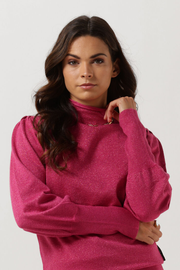 SILVIAN HEACH fuchsia silvian heach trui sweater balag