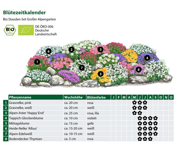 Bio Stauden-Set Großer Alpengarten, 24-teilig