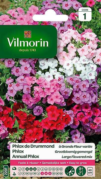Graines de Phlox de Drummond Grande Fleur Variée Vilmorin