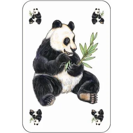Djeco Zanimatch Kartenspiel