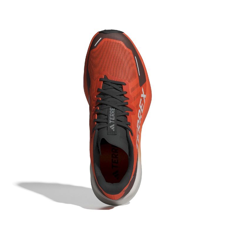 Terrex Agravic 3 - Chaussures trail homme