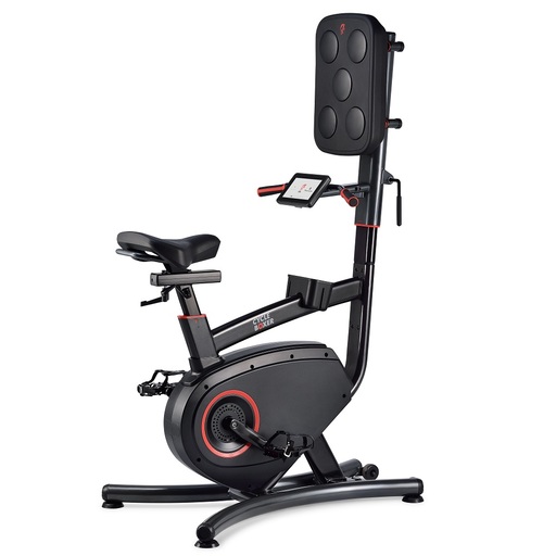 Bicicleta de boxe Lifespan para começar em casa CB110