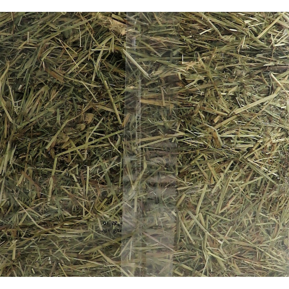 Foin alpage, menthe et camomille, 1 kg, pour rongeur