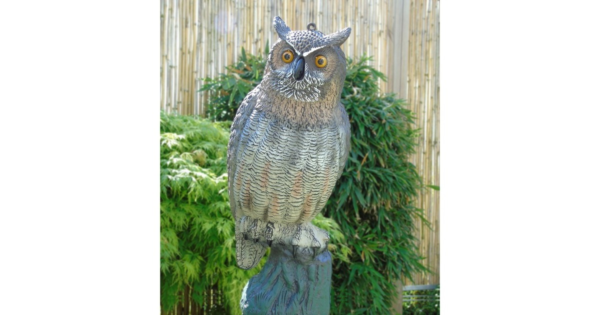 UbbinkGrote Uil waterornament