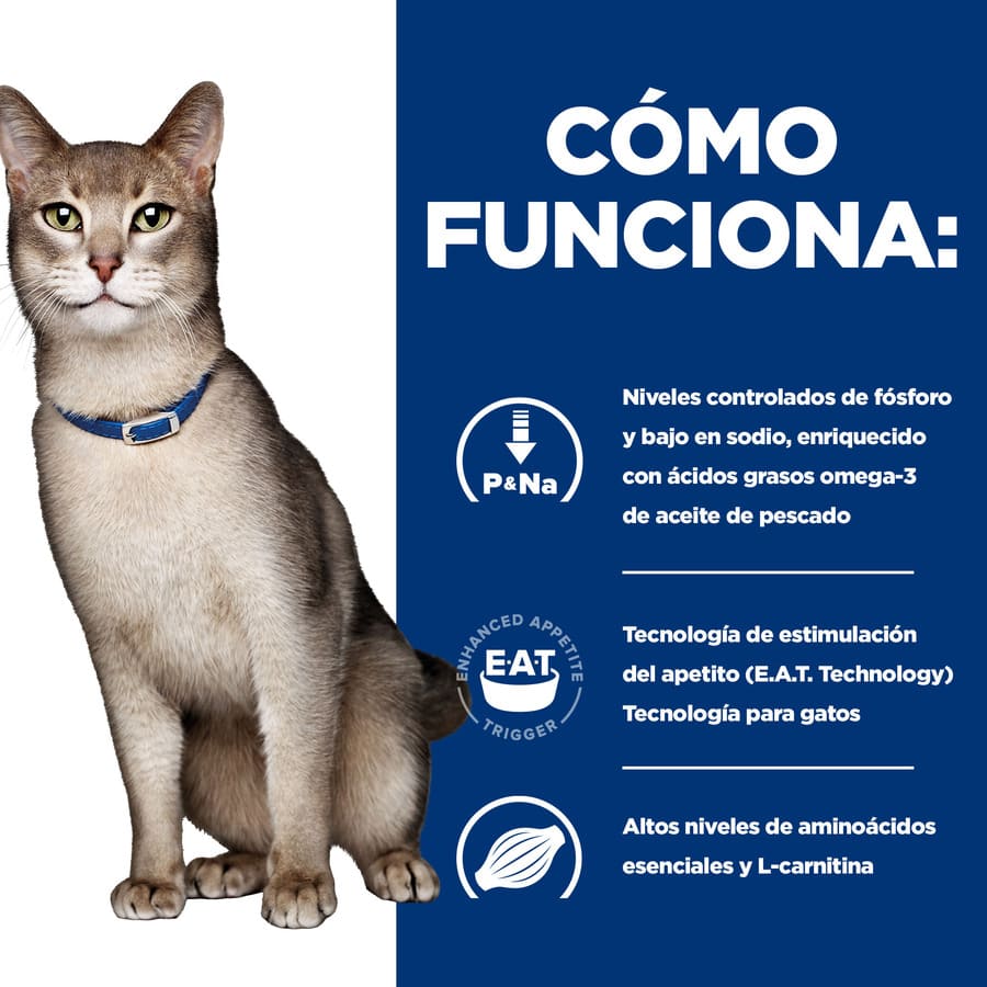 Sachê de Salmão ao Molho Hill's Prescription k/d Diet Kidney Care para Gatos
