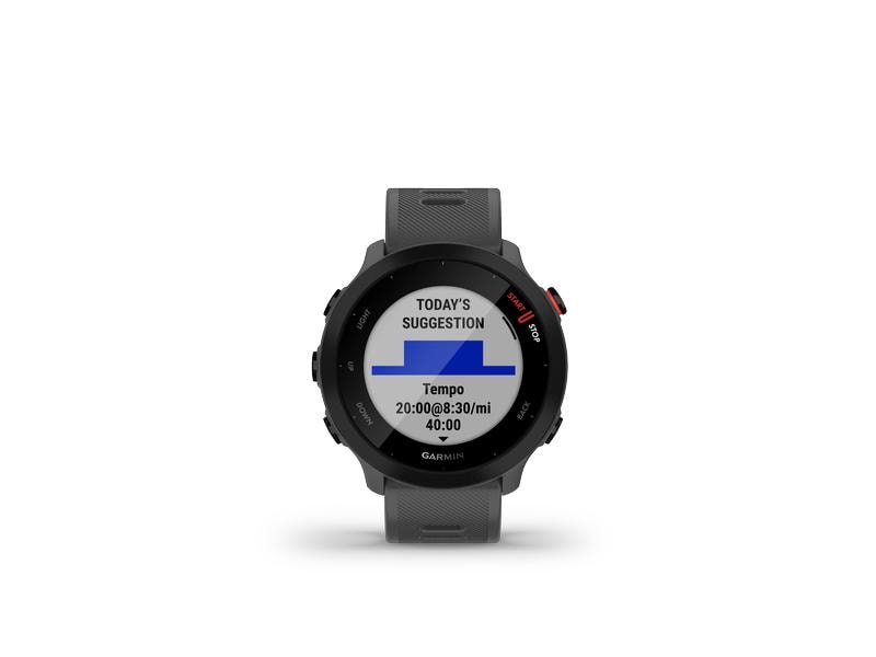 GARMIN Sportuhr Forerunner 55 Grau/Schwarz GPS-Laufuhr
