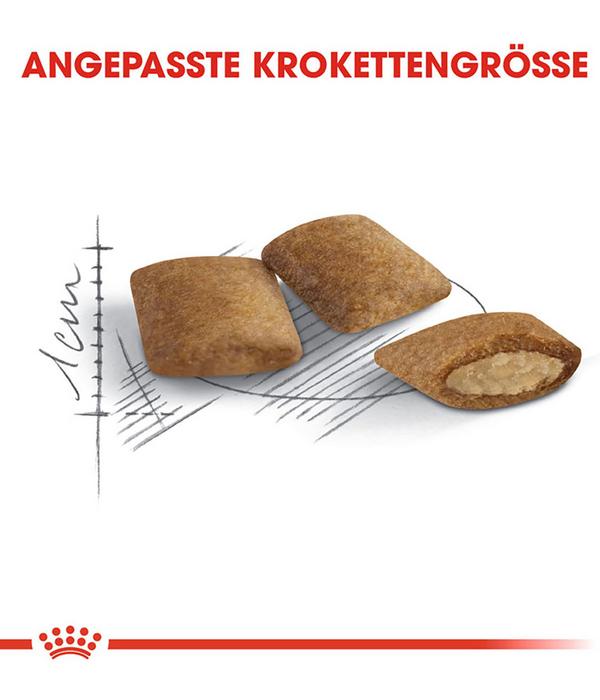 ROYAL CANIN® Trockenfutter für Katzen Ageing