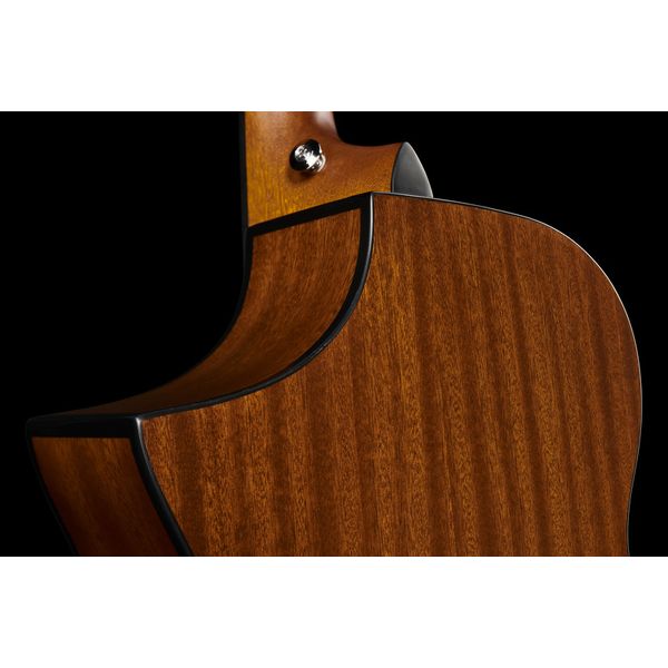 Ibanez AEWC11-DVS