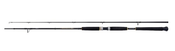 Canne Shimano Beastmaster AX Pilk