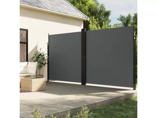 Auvent latéral rétractable anthracite 220x1000 cm