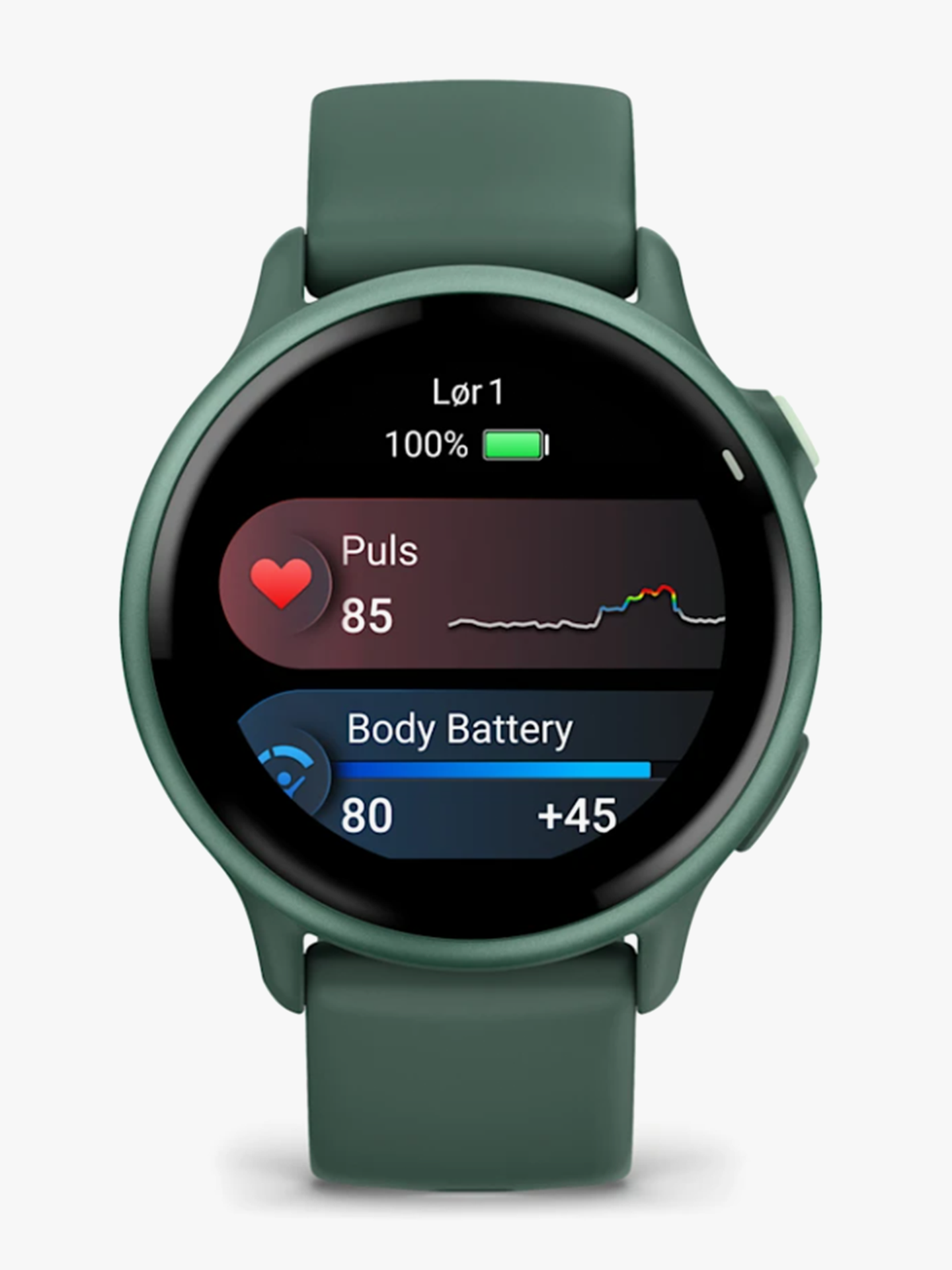 Vivoactive 6