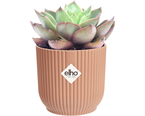 elho Vibes fold ronde mini plastic plantenbak Ø 9,3 cm H 8,8 cm roze