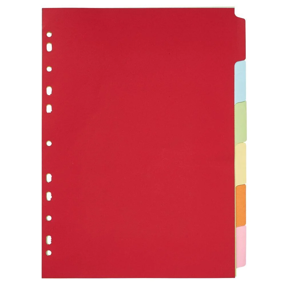 Lot de 6 intercalaires A4 21x29,7cm