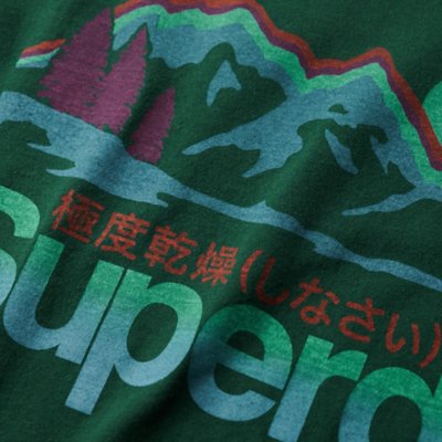 Tee-shirt à manches courtes homme Cl Great Outdoors Graphic SUPERDRY